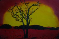 /album/fotogaleria/a71737-107569529310773-259035-n-jpg/